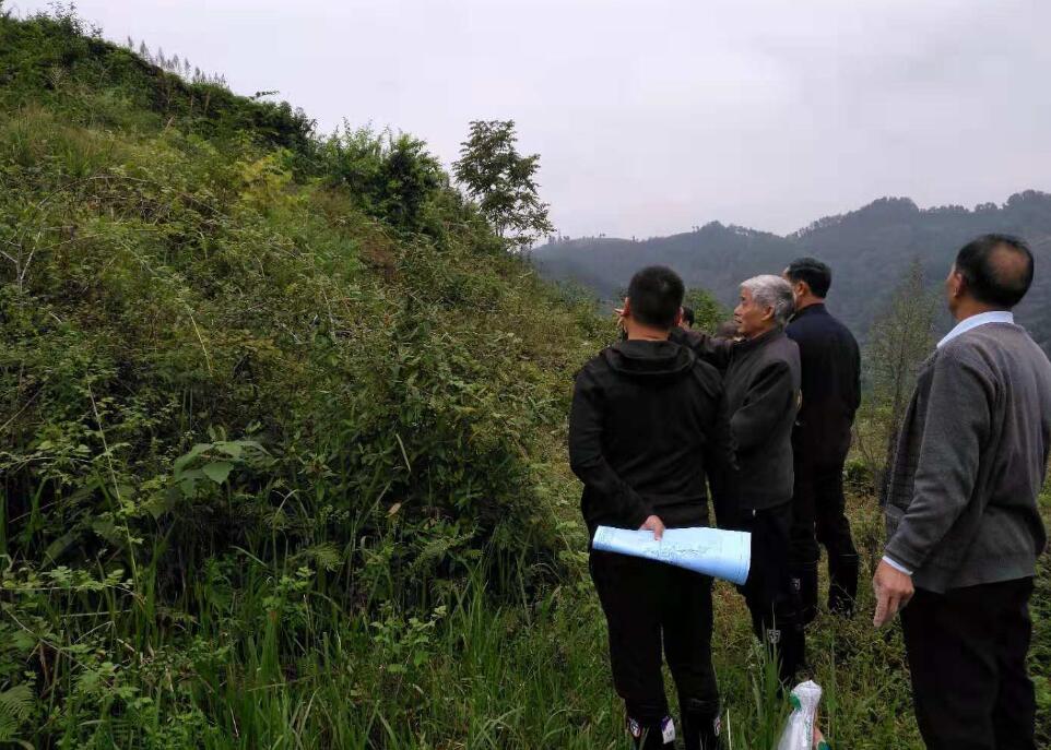 微信图片_20181010120247.jpg