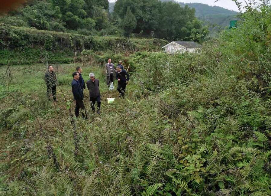 微信图片_20181010120251.jpg